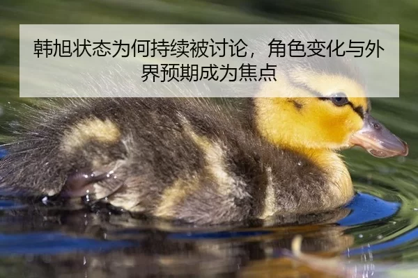韩旭状态为何持续被讨论，角色变化与外界预期成为焦点